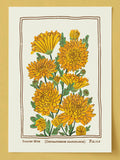 Vintage Style Garden Mums Art Print: November Birth Flower Poster birthday flower