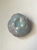Ceramic Wall Art Purple and Blue Spore Star Pod 4 flower spore