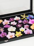 20 type resin orchid head, real orchid flower head_DIY floral for jewelry/necklace/ring/charm/earring,DIY charm making_resin flowers FLOWER DELIVERY