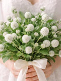 Gomphrena Seeds - White | Easy to Grow Cut Flower | Long Blooming | Fresh & Dried Flower seeds bulk