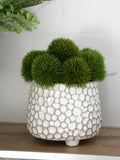 Green Dianthus Arrangement in a White Ceramic Pot - Realistic Faux Plant for Home & Office Decor faux plants