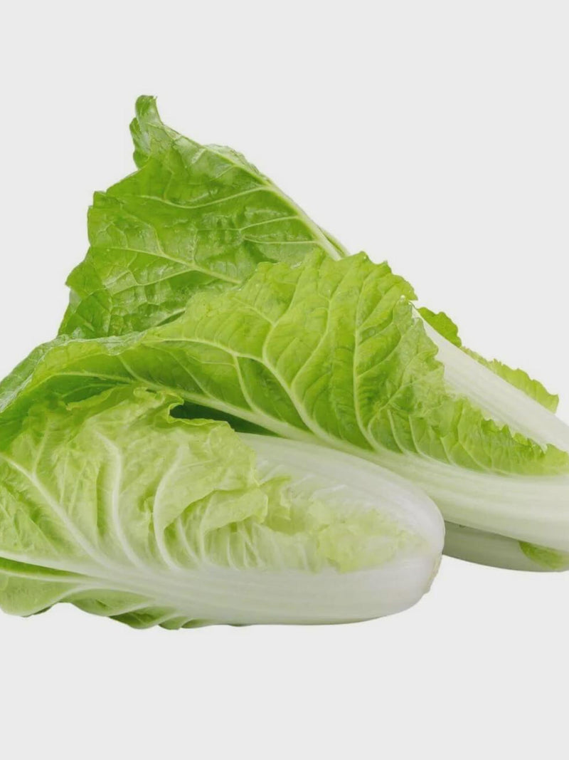 Taiwan Express Pak Choy, Vegetable seeds Suitable for Canada. Save on Shipping, Buy More, Pay Less seeds bulk