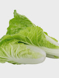 Taiwan Express Pak Choy, Vegetable seeds Suitable for Canada. Save on Shipping, Buy More, Pay Less seeds bulk