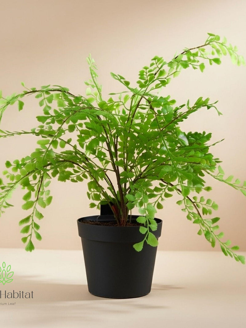 Artificial Maidenhair Fern Plant Plastic Home Decor Indoor Room Styling faux plants