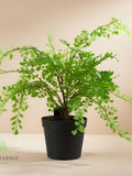 Artificial Maidenhair Fern Plant Plastic Home Decor Indoor Room Styling faux plants
