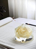 White Rose In Resin Crystal: Elegant Floral Keepsake Gift ANNIVERSARY