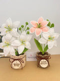 Personalized Crochet Lily ,Forever Flowers Gift for Mom, Birthday, Anniversary Decor birthday flower