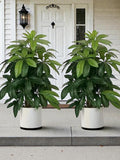 Large Faux Palm Tree | 82cm Indoor Outdoor Greenery faux plants