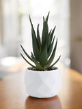 Faux Succulent in White Pot | Artificial Bonsai Decor faux plants