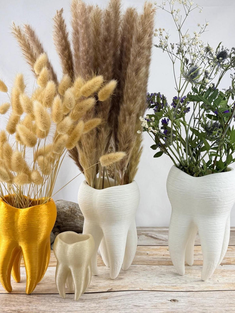Anatomical Tooth Vase Ð 3D Printed Modern Dental Sculpture for Dried Flowers FLOWER DELIVERY