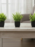 Mini Artificial Plant - Modern Black Pot, Desk Greenery (18 CM /7.08 Inch High) faux plants
