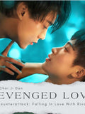 Revenged Love Light Novel English Digital PDF eBook | Chinese BL Romance | Love Romance Flower