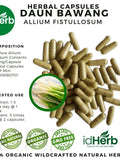 100-800 Capsules Of Pure Welsh onion or Spring Onion (Allium Fistullosum) 100% Organic WildCrafted Fresh Natural Herbs Herbal flower spore