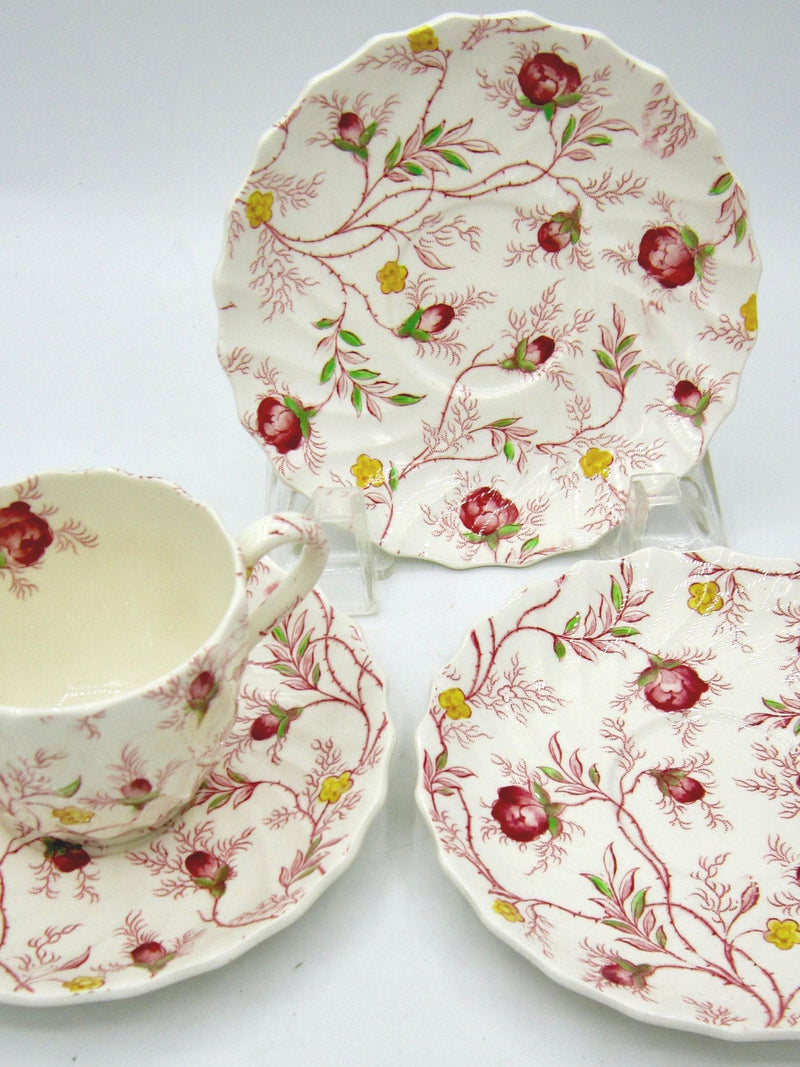 Copeland Spode Rosebud Chintz Demitasse Cup and 3 Saucers (2-8401 Pink Vine) - England flower spore