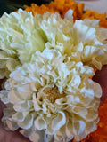 Eskimo Marigold Seeds flower seeds