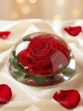 Real Rose in Resin Dome, Wedding Keepsake Gift, Anniversary Present, Romantic Home Decor, Forever Rose Display,Mother's Day Gift ANNIVERSARY