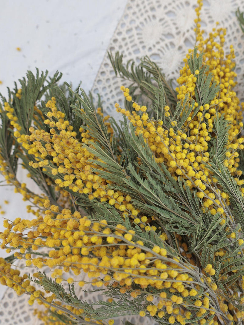 Natural dried flowers Mimosa Stems Yallow Arrangement Decoration Yellow Dried Flower Bouquet FLOWER DELIVERY