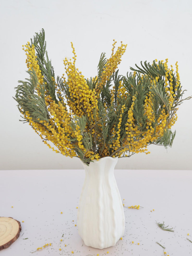 Dried Mimosa yellow flowers Bouquet Yellow Natural Flower Mimosa Stems silk flower