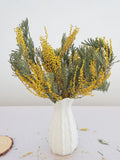 Dried Mimosa yellow flowers Bouquet Yellow Natural Flower Mimosa Stems silk flower