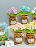 Cute Handmade Crochet Forget-Me-Not Flower Gift Set | Emotional Support Plant, Thank You Gift for Mom, Teachers, Friends,Mother's Day Gift sympathy flower
