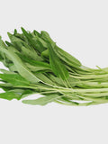 Water Spinach, Vegetable seeds Suitable for Canada. Save on Shipping ,Buy More, Pay Less seeds bulk