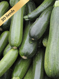 Dark Green Zucchini Seeds - Heirloom Bush Variety - 20 or 40 Seeds seeds bulk