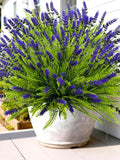 Bundles of Artificial Lavender Plants | 17.8" UV-Resistant Outdoor Faux Flowers faux plants