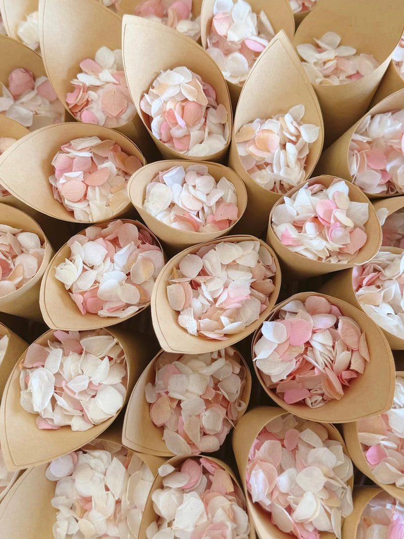 Biodegradable Wedding Confetti + Cones Bundle, Real Flower Confetti, Hydrangea Petals, Paper Wedding Cones, Wedding Decor, Flower Girl Toss wedding flower