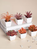 Artificial Succulent Plants Set | Mini Faux Plants Decor Set | Small Potted Plants Home Decor | Desk Shelf Decor Plants | Greenery Decor Set faux plants