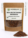 Dried SEA BUCKTHORN BERRIES Whole | Hippophae Rhamnoides | Culinary, Tea & Craft | Bulk Botanical seeds bulk