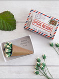 Tiny Paper Rose Bouquet in Matchbox - Mother's Day Gift, Miniature Flower Arrangement FLOWER DELIVERY