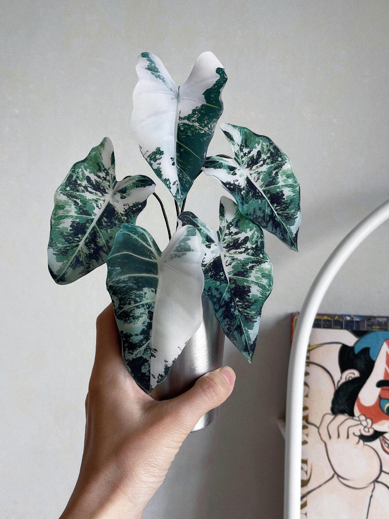 Faux Variegated Alocasia Frydek | Green Velvet Alocasia | Realistic Artificial Rare Plant | Handcrafted Botanical Decor | Plant Lover Gift faux plants