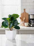 Faux Fiddle Leaf Plant | Small Artificial Greenery Decor | White Pot Modern Home Office faux plants