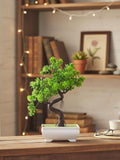 Faux Twisted Bonsai Tree | Green Potted Plant Decor | Artificial Desk Accent faux plants