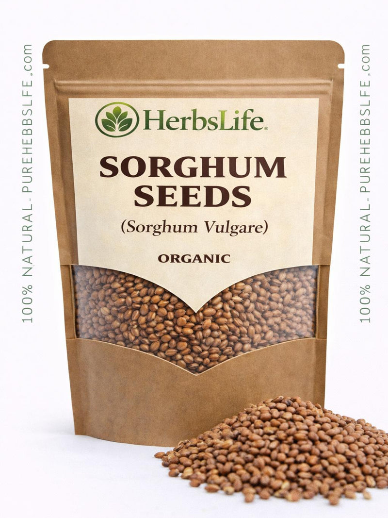 Organic Sorghum Seeds | Baking, Culinary & Craft Grain seeds bulk