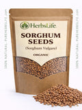Organic Sorghum Seeds | Baking, Culinary & Craft Grain seeds bulk