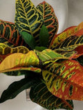 Artificial Croton plant. Silk Flower Floral Arrangements silk flower
