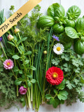 Canadian Herb Seed Collection - 15 Varieties 783 Seeds - Companion Planting Kit - Free Shipping seeds bulk