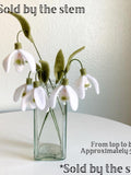 Felt snowdrop individual custom stem, Christmas stocking stuffer, Easter basket gift, get well flowers, sympathy, wedding, memorial, funeral sympathy flower