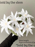 Felt edelweiss individual custom stem, build your own bouquet, get well flowers, sympathy, wedding, memorial, funeral, hypoallergenic sympathy flower