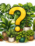 Mystery Plant Cutting Bundle | Surprise Houseplant Cuttings | 3 cuts | Philodendron, Pothos, Hoya | Starter Plant Pack faux plants