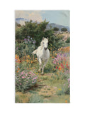 White Horse Hand Towel Flower Field Watercolor Painting Soft Kitchen Towel Bathroom Decor Gift Idea Home Decors House Warming Present house warming flower