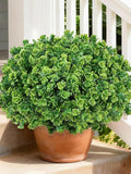 12 Bundles Artificial Outdoor Roses Ð UV Resistant Fake Plants for Porch, Patio & Garden Decor faux plants
