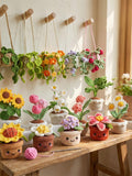 Crochet Plant Pattern Bundle PDF Ð Amigurumi Flower Pots & Hanging Plants Ð Cute Kawaii Home Decor Ð Beginner Friendly house warming flower