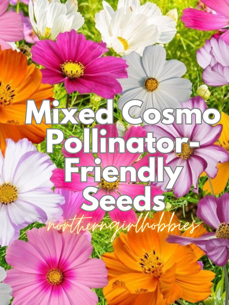 Mixed Cosmo Seeds (25 Seed + Free Gift)| Combined Shipping seeds bulk