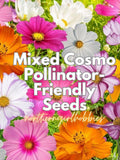 Mixed Cosmo Seeds (25 Seed + Free Gift)| Combined Shipping seeds bulk