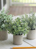 Small Faux Potted Plants Ð Dusty Vintage Look Indoor Greenery with Biodegradable Pots faux plants