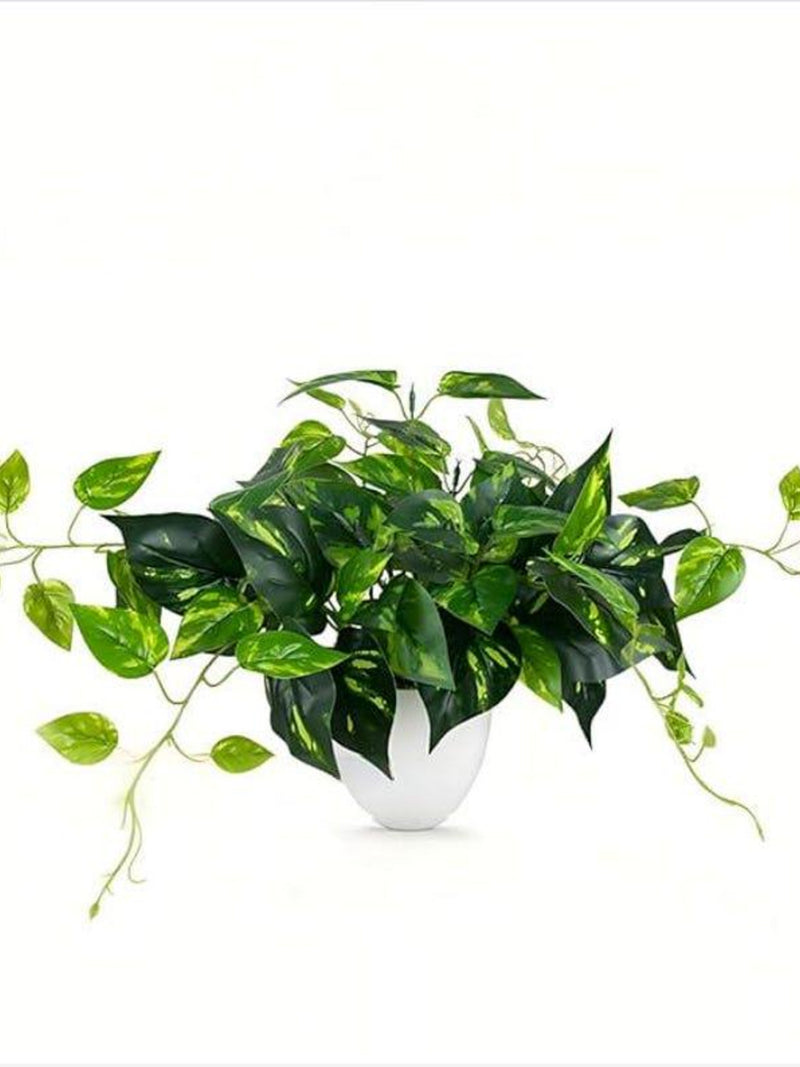 Artificial Pothos Hanging Plant Ð Realistic Indoor Fake Plant in Pot for Home & Office faux plants