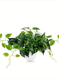 Artificial Pothos Hanging Plant Ð Realistic Indoor Fake Plant in Pot for Home & Office faux plants