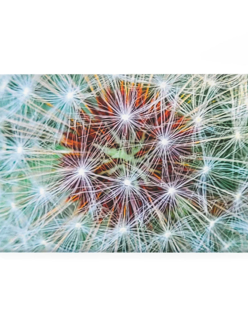 Rectangular Magnet: Make a Wish | Alameda, California flower spore